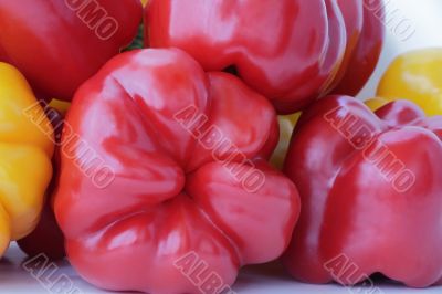 Red and yellow raw pepper