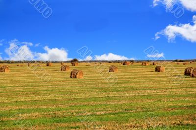 Hay, field and blu sky