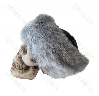 Mongolian Fur Cap on a Skull