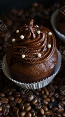 Chocolate cupcake