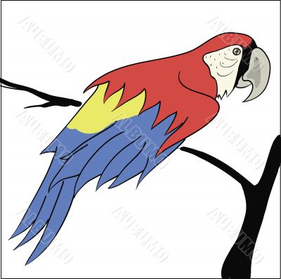 parrot sitting on a branch parrot sitting on a branch