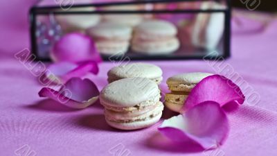 Macarons