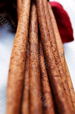 Cinnamon sticks