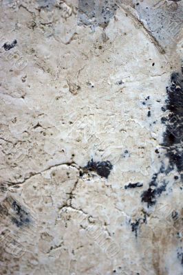 Stone background Stone background
