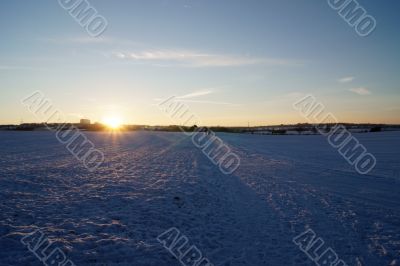 Snowed in landscape