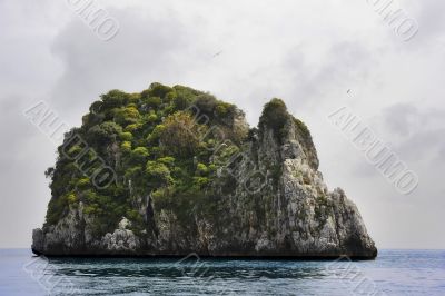 An island with a rabbit shape