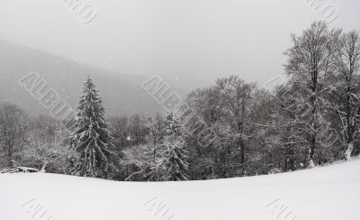 Carpathians in winter