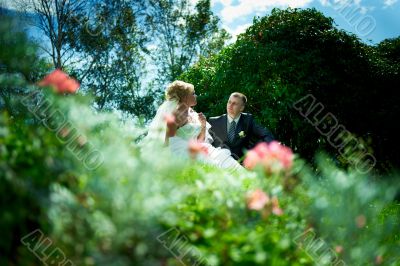 Bride and groom of blue sky