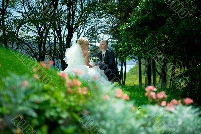 Bride and groom at the park