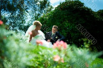 Bride and groom at the park