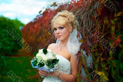 Portrait of a beautiful bride