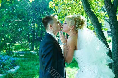 Portrait of a beautiful bride and groom