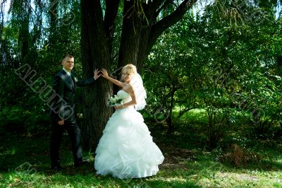 Portrait of a beautiful bride and groom