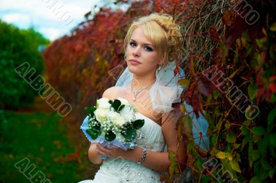 Portrait of a beautiful bride