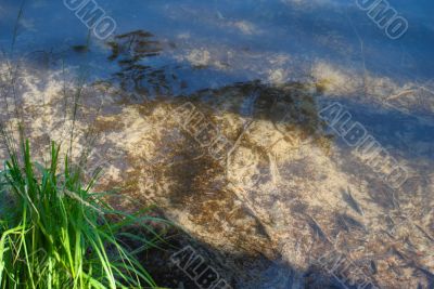 Bottom of the lake.