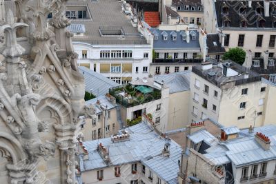Paris rooftops.