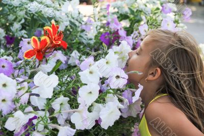 The little six year old girl inhales the fragrance of flowers.