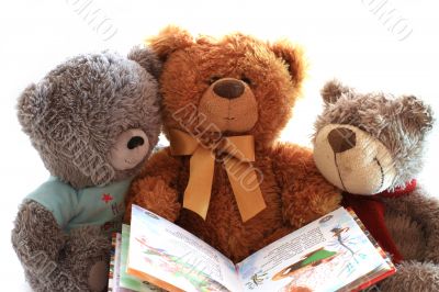 Three toy teddy bear holding an open book.