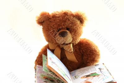 Toy teddy bear