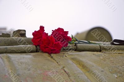 Red carnation flowers on the tank armor