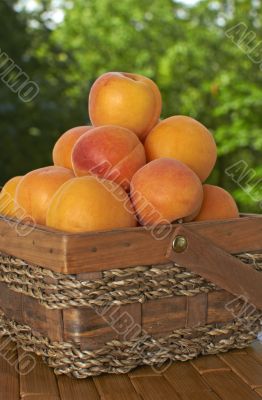 apricot basket