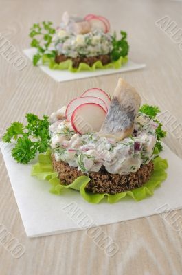 Salted herring tartare with apple and radish