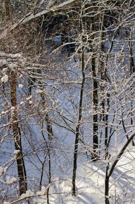  snowy landscape, winter in Russia