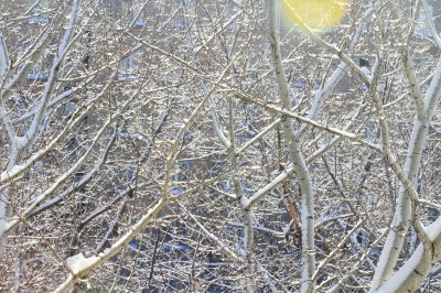  snowy landscape, winter in Russia