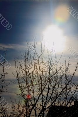  snowy landscape, winter in Russia