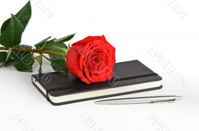 Rose and candle Rose and candle