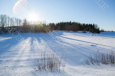 Cold day russian winter polar life