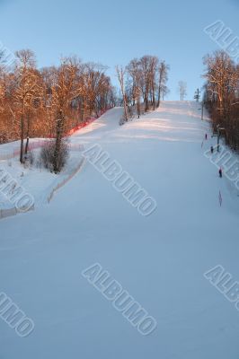 Cold day russian winter polar life