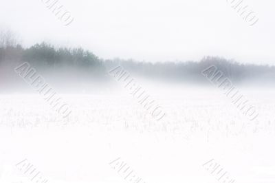 Winter scenery Winter scenery