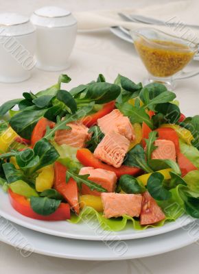 Vegetable salad with salmon