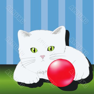 white cat white cat