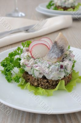 Salted herring tartare with apple and radish
