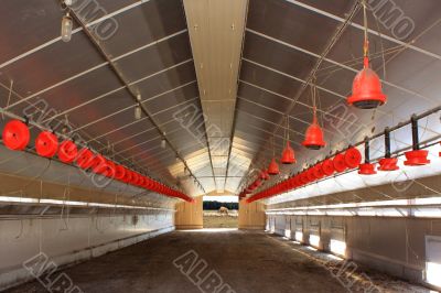 chicken farm chicken farm