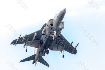 AV-8B Harrier Plus AV-8B Harrier Plus