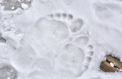 Footprints