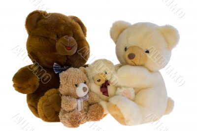 Family of toy teddy bears. Over white