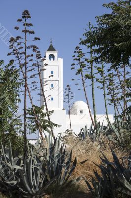Sidi Bou Said Mosque, Tunisia