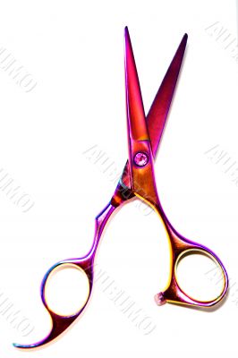 Professional Haircutting Scissors