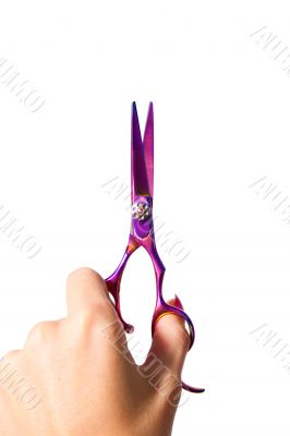 Professional Haircutting Scissors