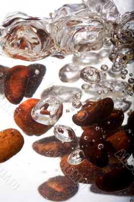 Coffee beans in water