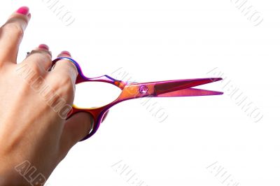 Professional Haircutting Scissors