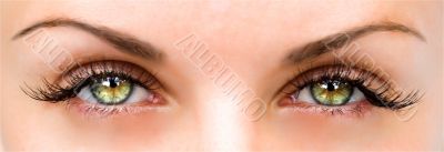 beautiful female eyes