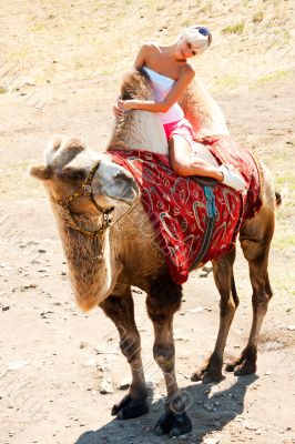 A girl riding a camel A girl riding a camel