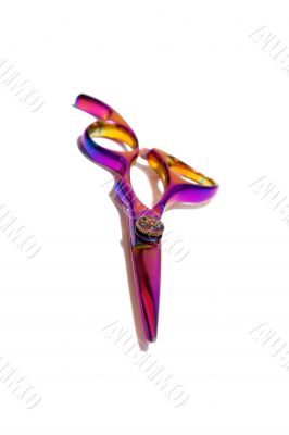 Professional Haircutting Scissors