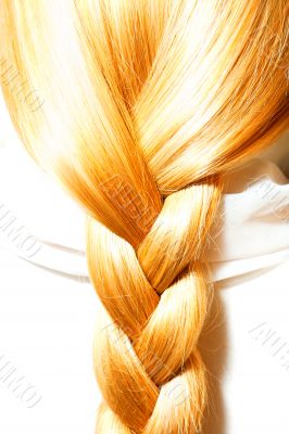 carrots hair plaits