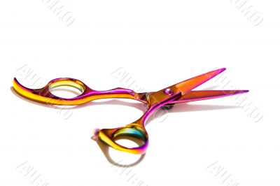 Professional Haircutting Scissors